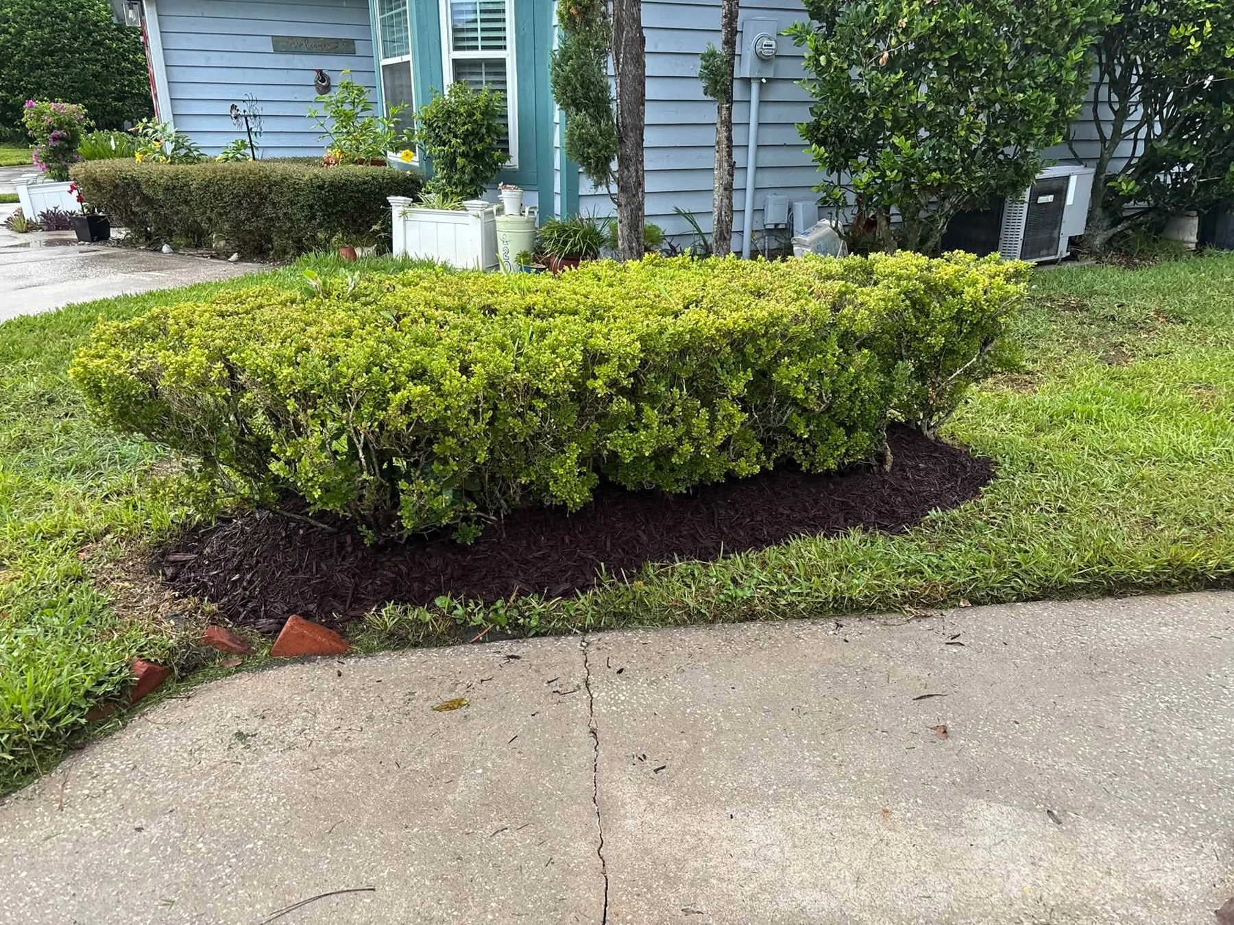 Neatly trimmed hedges and a planted garden bed beside a Jacksonville home